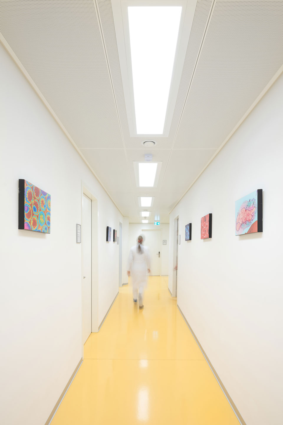Gallery Img